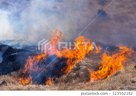 A sightseeing and recreational spot that shines with the spring scenery: A close-up view of the burning fields in Aso (Tawarayama) A sightseeing and recreational spot that shines with the spring scenery: A close-up view of the burning fields in Aso (Tawarayama) 123502182