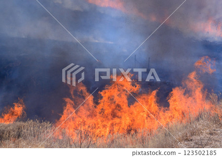 A sightseeing and recreational spot that shines with the spring scenery: A close-up view of the burning fields in Aso (Tawarayama) A sightseeing and recreational spot that shines with the spring scenery: A close-up view of the burning fields in Aso (Tawarayama) 123502185