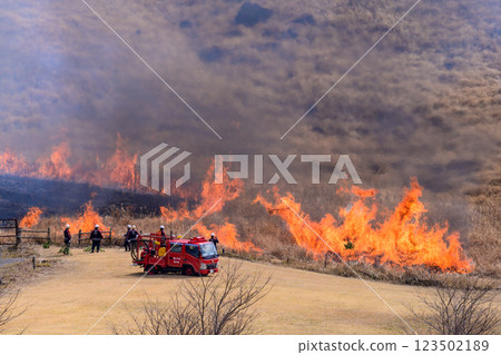A sightseeing and recreational spot that shines with the spring scenery: A close-up view of the burning fields in Aso (Tawarayama) 123502189