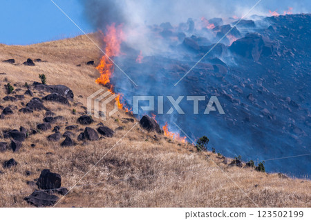 閃耀春光的觀光休憩勝地：近距離觀賞阿蘇（俵山）火燒場 123502199