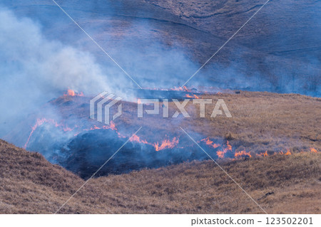 A sightseeing and recreational spot that shines with the spring scenery: A close-up view of the burning fields in Aso (Tawarayama) A sightseeing and recreational spot that shines with the spring scenery: A close-up view of the burning fields in Aso (Tawarayama) 123502201