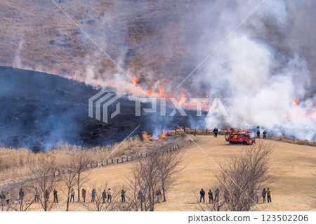 A sightseeing and recreational spot that shines with the spring scenery: A close-up view of the burning fields in Aso (Tawarayama) 123502206