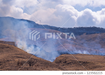 A sightseeing and recreational spot that shines with the spring scenery: A close-up view of the burning fields in Aso (Tawarayama) A sightseeing and recreational spot that shines with the spring scenery: A close-up view of the burning fields in Aso (Tawarayama) 123502215