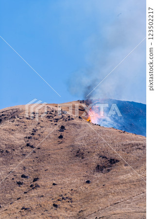 A sightseeing and recreational spot that shines with the spring scenery: A close-up view of the burning fields in Aso (Tawarayama) A sightseeing and recreational spot that shines with the spring scenery: A close-up view of the burning fields in Aso (Tawarayama) 123502217