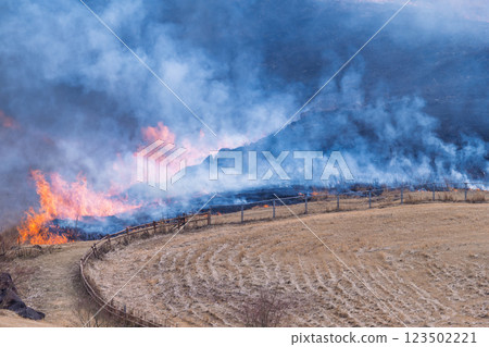 A sightseeing and recreational spot that shines with the spring scenery: A close-up view of the burning fields in Aso (Tawarayama) 123502221