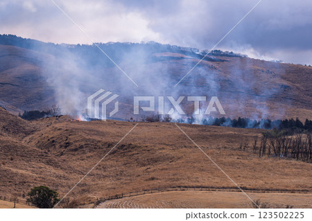 A sightseeing and recreational spot that shines with the spring scenery: A close-up view of the burning fields in Aso (Tawarayama) A sightseeing and recreational spot that shines with the spring scenery: A close-up view of the burning fields in Aso (Tawarayama) 123502225