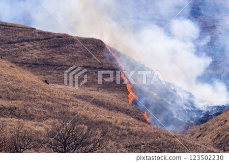 A sightseeing and recreational spot that shines with the spring scenery: A close-up view of the burning fields in Aso (Tawarayama) A sightseeing and recreational spot that shines with the spring scenery: A close-up view of the burning fields in Aso (Tawarayama) 123502230