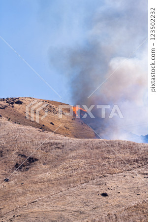 A sightseeing and recreational spot that shines with the spring scenery: A close-up view of the burning fields in Aso (Tawarayama) 123502232