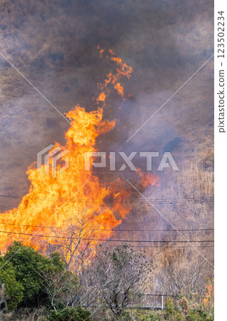閃耀春光的觀光休憩勝地：近距離觀賞阿蘇（俵山）火燒場 123502234