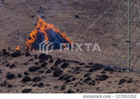 A sightseeing and recreational spot that shines with the spring scenery: A close-up view of the burning fields in Aso (Tawarayama) A sightseeing and recreational spot that shines with the spring scenery: A close-up view of the burning fields in Aso (Tawarayama) 123502262