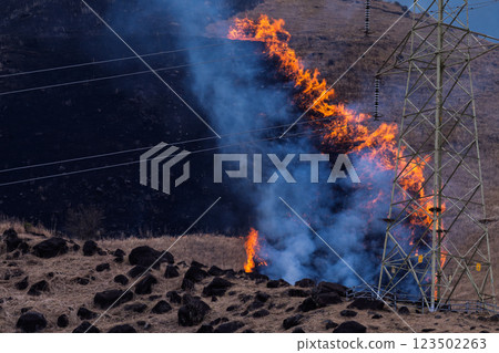 閃耀春光的觀光休憩勝地:近距離觀賞阿蘇(俵山)火燒場 閃耀春光的觀光休憩勝地:近距離觀賞阿蘇(俵山)火燒場 123502263