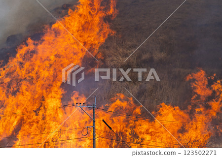 A sightseeing and recreational spot that shines with the spring scenery: A close-up view of the burning fields in Aso (Tawarayama) A sightseeing and recreational spot that shines with the spring scenery: A close-up view of the burning fields in Aso (Tawarayama) 123502271