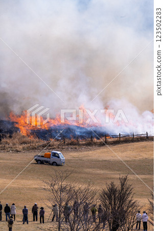 A sightseeing and recreational spot that shines with the spring scenery: A close-up view of the burning fields in Aso (Tawarayama) 123502283