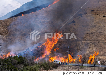 A sightseeing and recreational spot that shines with the spring scenery: A close-up view of the burning fields in Aso (Tawarayama) 123502285