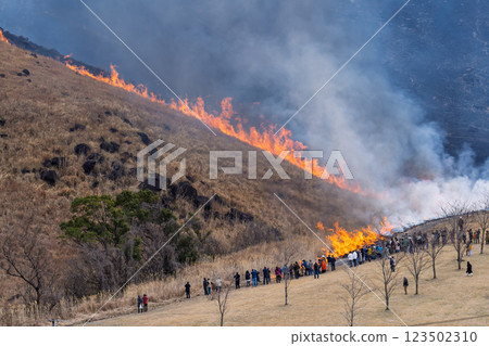 A sightseeing and recreational spot that shines with the spring scenery: A close-up view of the burning fields in Aso (Tawarayama) A sightseeing and recreational spot that shines with the spring scenery: A close-up view of the burning fields in Aso (Tawarayama) 123502310