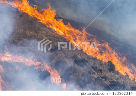 A sightseeing and recreational spot that shines with the spring scenery: A close-up view of the burning fields in Aso (Tawarayama) A sightseeing and recreational spot that shines with the spring scenery: A close-up view of the burning fields in Aso (Tawarayama) 123502314