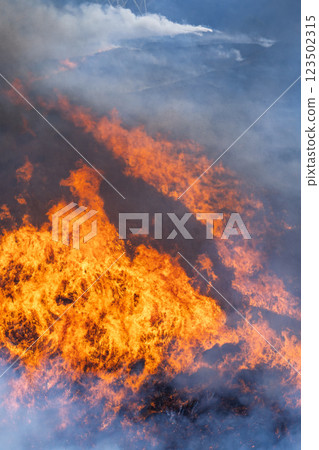 A sightseeing and recreational spot that shines with the spring scenery: A close-up view of the burning fields in Aso (Tawarayama) 123502315