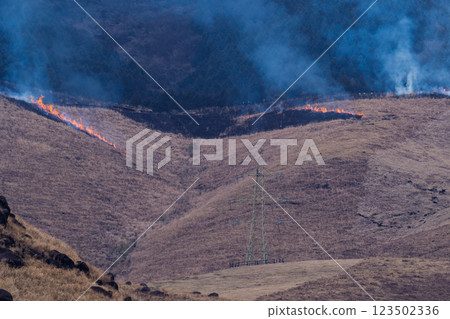 A sightseeing and recreational spot that shines with the spring scenery: A close-up view of the burning fields in Aso (Tawarayama) 123502336