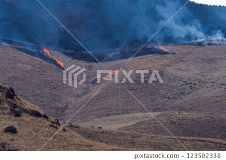A sightseeing and recreational spot that shines with the spring scenery: A close-up view of the burning fields in Aso (Tawarayama) 123502338