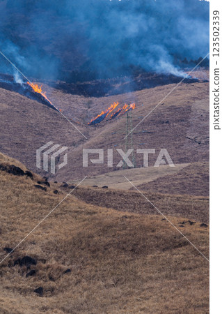 A sightseeing and recreational spot that shines with the spring scenery: A close-up view of the burning fields in Aso (Tawarayama) 123502339