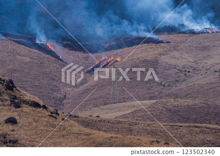 閃耀春光的觀光休憩勝地：近距離觀賞阿蘇（俵山）火燒場 123502340
