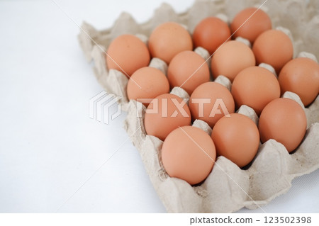 Eggs in a carton box Eggs in a carton box 123502398