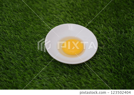 boiled egg on the grass 123502404