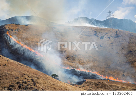A sightseeing and recreational spot that shines with the spring scenery: Burning fields in Aso (Tawarayama) A sightseeing and recreational spot that shines with the spring scenery: Burning fields in Aso (Tawarayama) 123502405