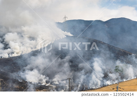 A sightseeing and recreational spot that shines with the spring scenery: Burning fields in Aso (Tawarayama) A sightseeing and recreational spot that shines with the spring scenery: Burning fields in Aso (Tawarayama) 123502414