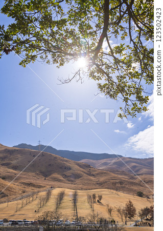 (Before the burning of fields) A tourist and recreational spot that reflects the spring scenery: the burning of fields in Aso (Tawarayama) (Before the burning of fields) A tourist and recreational spot that reflects the spring scenery: the burning of fields in Aso (Tawarayama) 123502423