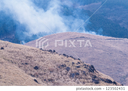 A sightseeing and recreational spot that shines with the spring scenery: A close-up view of the burning fields in Aso (Tawarayama) 123502431