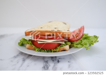 Sandwich with ham, cheese, tomato and lettuce background 123502525