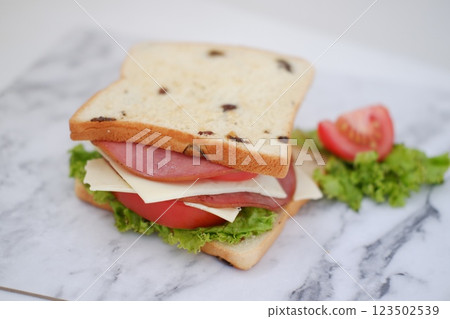 Sandwich with ham, cheese, tomato and lettuce background Sandwich with ham, cheese, tomato and lettuce background 123502539