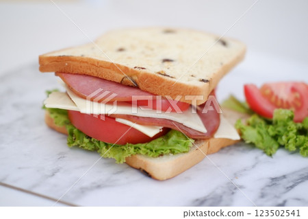 Sandwich with ham, cheese, tomato and lettuce background Sandwich with ham, cheese, tomato and lettuce background 123502541