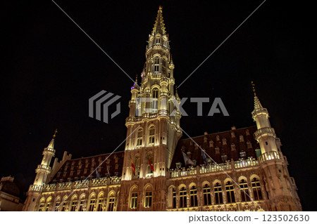 Views of Belgian cities 123502630