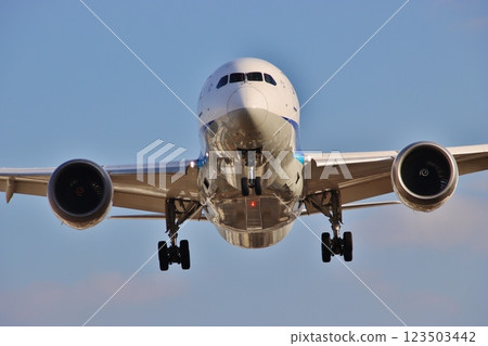 Image of an aircraft (Senri River bank, Osaka) 123503442