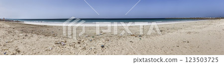 Sandy beach littered with plastic and trash. Environmental pollution and nature destruction Sandy beach littered with plastic and trash. Environmental pollution and nature destruction 123503725