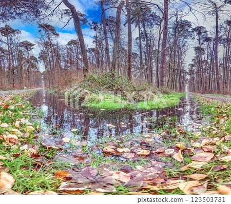 Moor pond in a dense forest with reflections and autumn colors Moor pond in a dense forest with reflections and autumn colors 123503781
