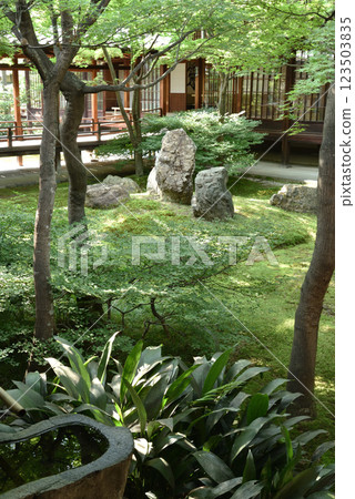 建仁寺、Choon Garden、初夏 123503835