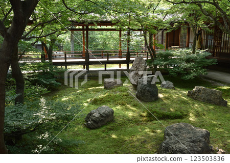 建仁寺、Choon Garden、初夏 建仁寺、Choon Garden、初夏 123503836