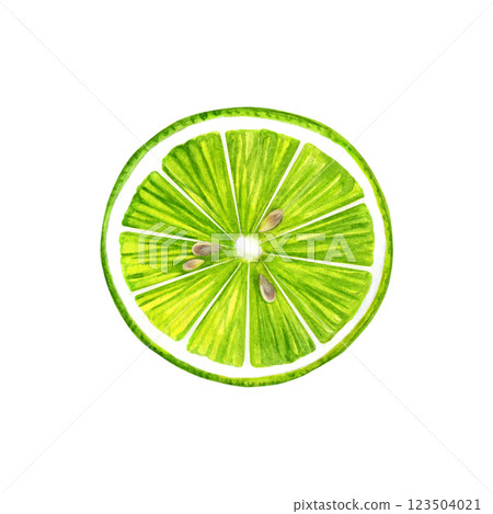 Lime watercolor. A slice of green fruit with seeds hand-painted on a white background. Good for postcards,recipes, menu, invitations, greeting cards. 123504021