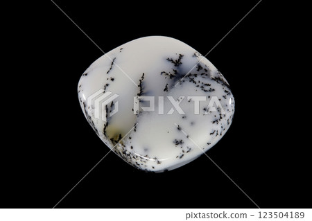 Marlinite snowy stone 123504189