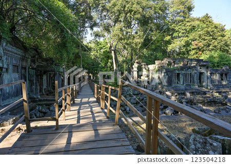 沉睡在叢林中的神秘寺廟－柬埔寨吳哥窟崩密列 123504218