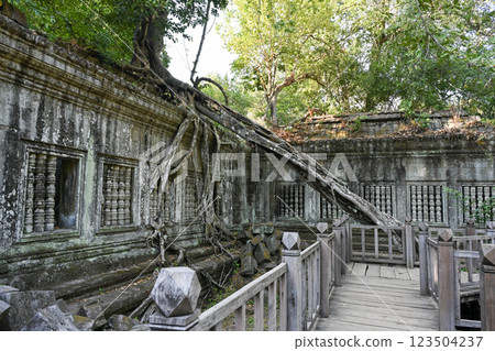 沉睡在叢林中的神秘寺廟－柬埔寨吳哥窟崩密列 123504237
