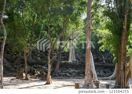 The mysterious temple sleeping in the jungle - Beng Mealea, Angkor Wat, Cambodia 123504255