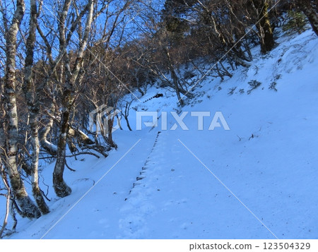 Sanjogatake in the depths of winter (snow-covered boardwalk stairs on the hiking trail) Sanjogatake in the depths of winter (snow-covered boardwalk stairs on the hiking trail) 123504329