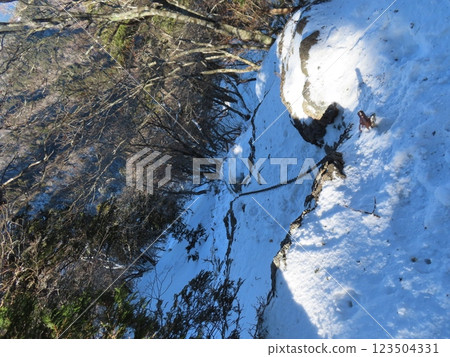 隆冬的山上岳（大雪覆蓋的登山路線的連續路段） 123504331