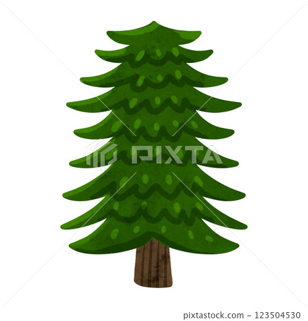Cedar tree watercolor hand-drawn illustration 123504530