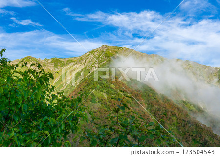 從大倉山脊的富士見平望去的赤石山。 從大倉山脊的富士見平望去的赤石山。 123504543