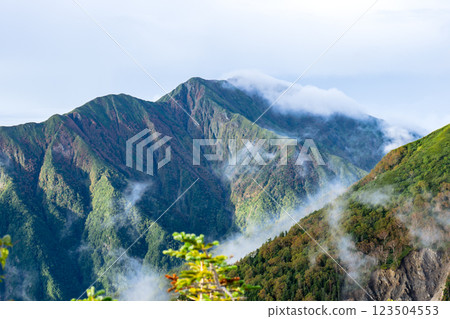 Mt. Hijiri (Okuhijiri) looking up at the sea of clouds from Fujimi-daira on the Okura Ridge. Climbing Mt. Akaishi in the Southern Alps 123504553